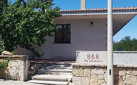 B&B Da Silvestro